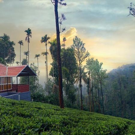 Mayflower Holiday Villa Meppadi Экстерьер фото